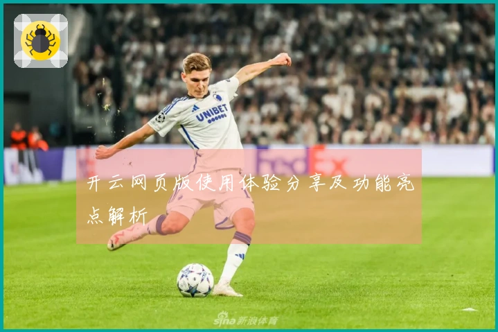 开云网页版使用体验分享及功能亮点解析